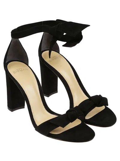 Alexandre Birman Women's Clarita Suede Block Sandal In Black In Black