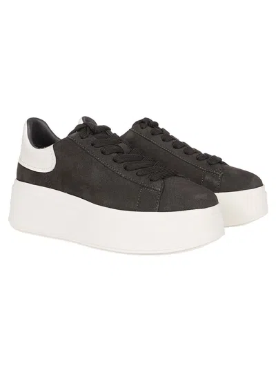 Ash Sneakers