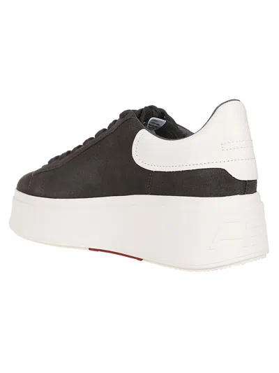 Ash Sneakers