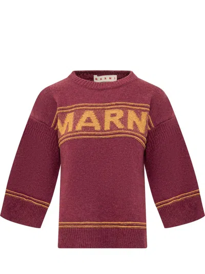 Marni Wool Knitwear In Purple