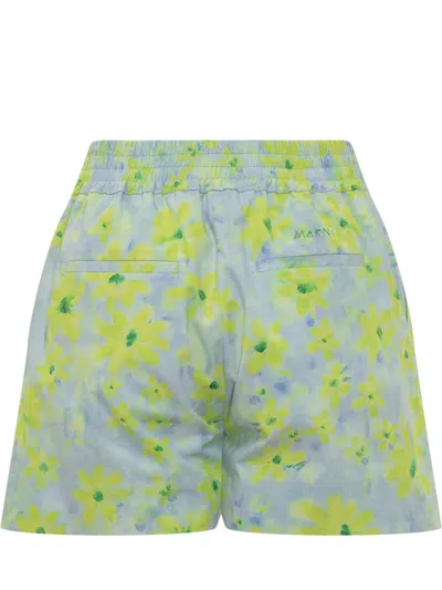Marni Watercolour Floral-pattern Cotton Shorts In Blue
