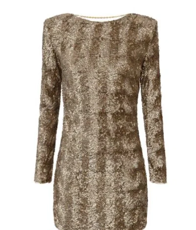 Elisabetta Franchi Sequin-embellished Tulle Mini Dress In Brown