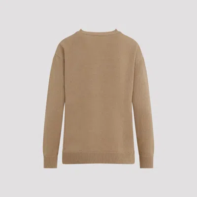 Max Mara Sweater In Wool And Cashmere Blend In Brown