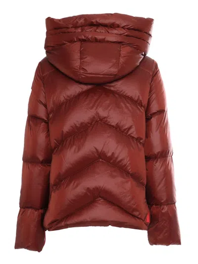After Label Down Jacket In Brown