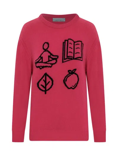 Alberta Ferretti Embroidered Jumper In Pink
