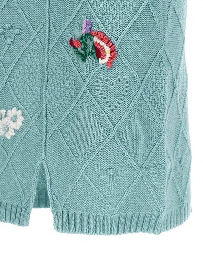 Twinset Embroidery Skirt Skirts Light Blue In Blue