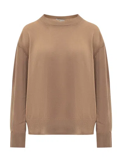 Stella Mccartney Ribbed Crew Neck Knitwear With Button Detail In Brown