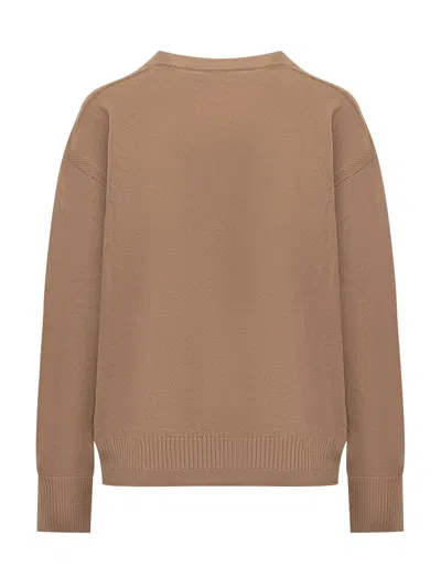 Stella Mccartney Ribbed Crew Neck Knitwear With Button Detail In Brown