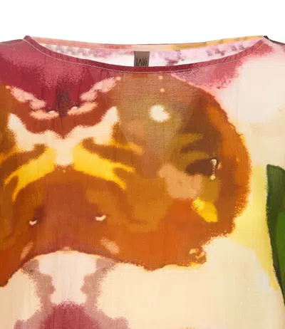 Yavi In Multicolour