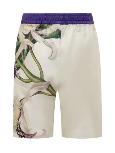 Pierre-louis Mascia Silk Shorts In White
