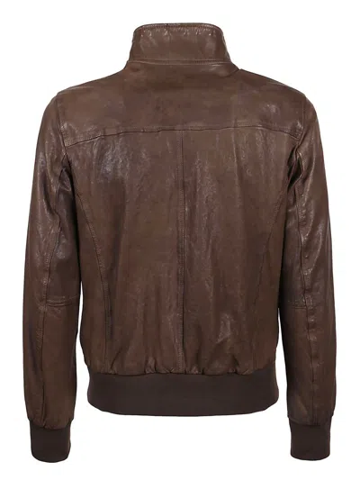Stewart Jacket With Double Slider Zip, Barracuda Collar With 2buttons, In Brown