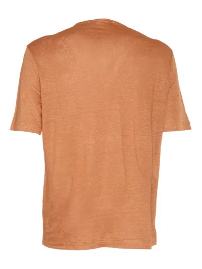 Phi Fdl T-shirt M/c In Brown