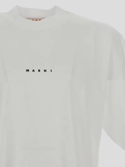 Marni White Cotton T-shirt With Logo Print In No-color