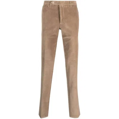 Rota Cotton Pants In Brown