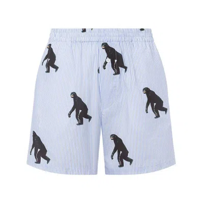 Moschino Striped Poplin Bermuda Allover Chimpanzee In Multicolor