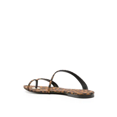Saint Laurent Tanger Flat Sandals Women In Brown