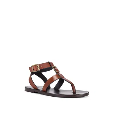 Saint Laurent Hardy Leather Sandals In Brown