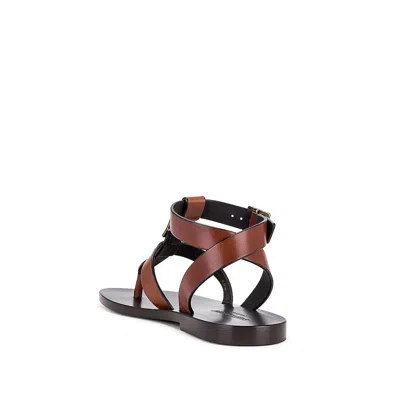 Saint Laurent Hardy Leather Sandals In Brown