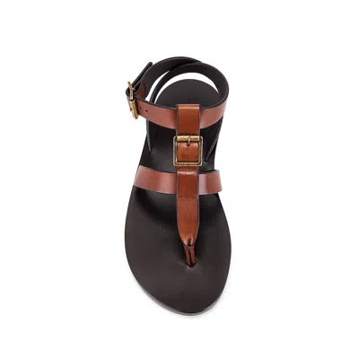 Saint Laurent Hardy Leather Sandals In Brown
