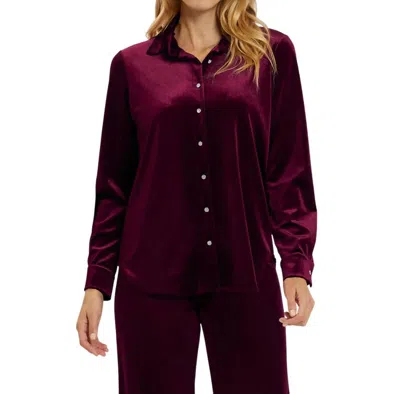 Jude Connally Brandy Velvet Top In Garnet/sparkle (gnts) In Multi
