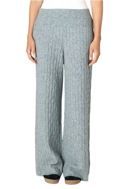 Dex Dabble Cable Knit Pants In Grey In Grey