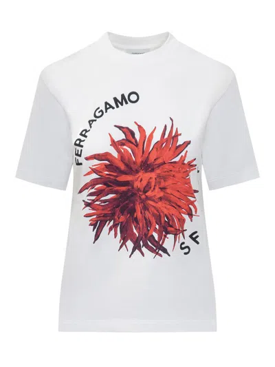 Ferragamo Short-sleeved T-shirt In White