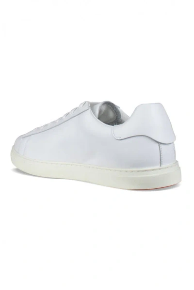 Dsquared2 Sneakers In White