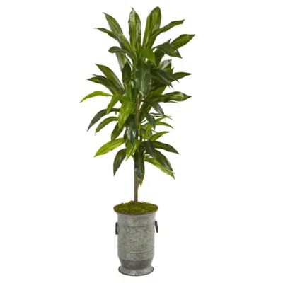 Homplanti Dracaena Artificial Plant In Vintage Metal Planter (real Touch) 4'