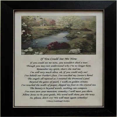 Homegifo If You Could See Framed Print