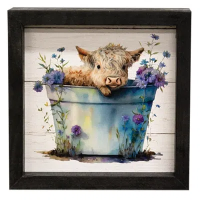 Homegifo Baby Highland In A Bucket Shadowbox Frame