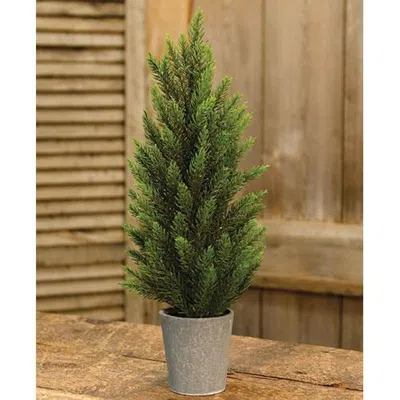 Homegifo Tahoe Pine Tree W/gray Pot 17"