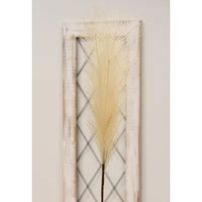 Homegifo *pampas Grass Pick 28" Natural