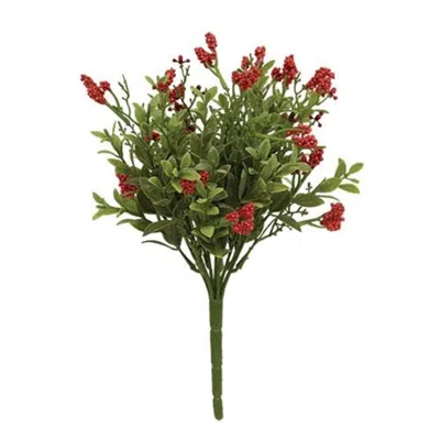 Homegifo Nottingham Berry Bush Red