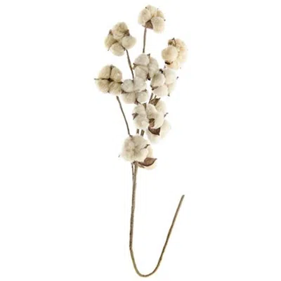 Homegifo *teastain Cotton Spray 29"