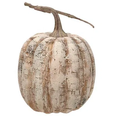 Homegifo White Birch Pumpkin 8"