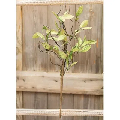 Homegifo Sage Leaves & Twigs Pick 16"