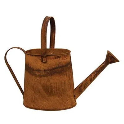 Homegifo Rusty Metal Watering Can 9x16