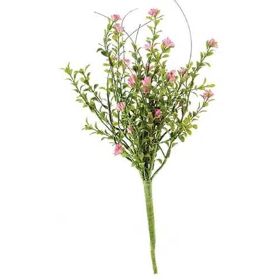 Homegifo Bayberry Bush 16"