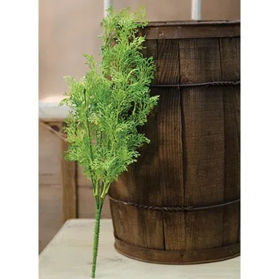 Homegifo Coral Fern Bush 19"