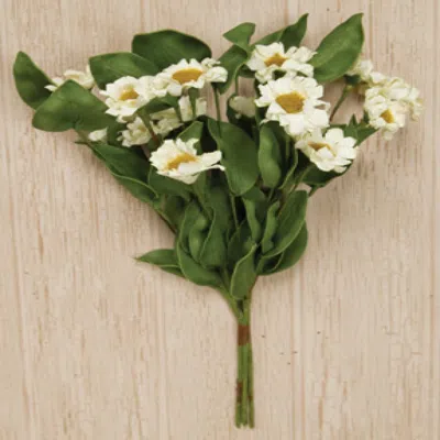 Homegifo Cream Country Daisy Bush