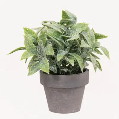 Homegifo *icy Gatehouse Pot #3 6"