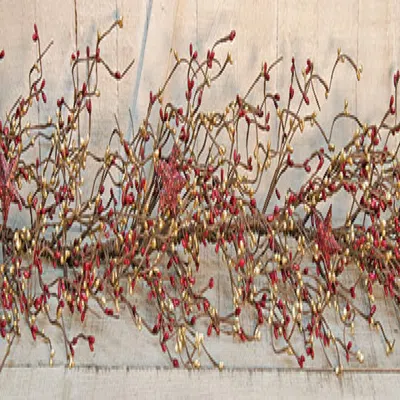 Homegifo Burgundy & Gold Holiday Stars Pip Garland