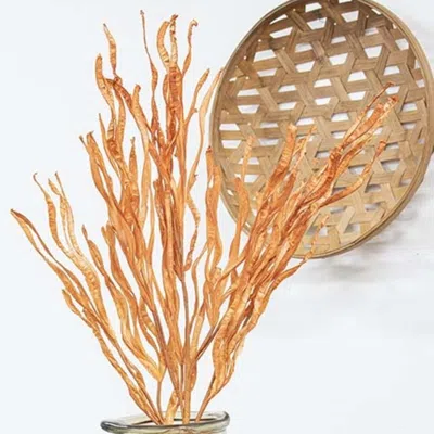 Homegifo Woodbury Grass Spray 34" Orange