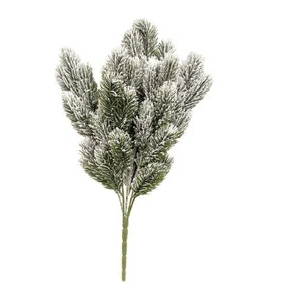 Homegifo *snowy Pine Bush