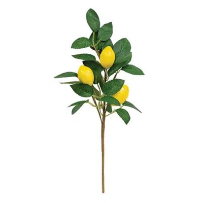 Homegifo Fresh Picked Lemon Spray
