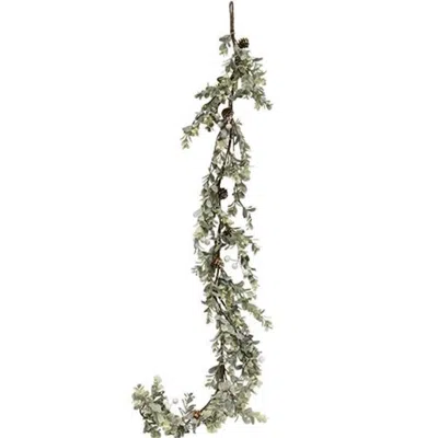Homegifo *holiday Ombre Boxwood Garland