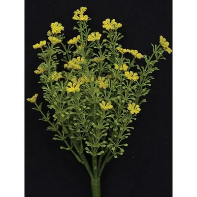 Homegifo Yellow Astilbe Bush 10.5"