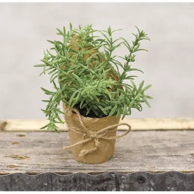 Homegifo Paper Pot Springerri 6"