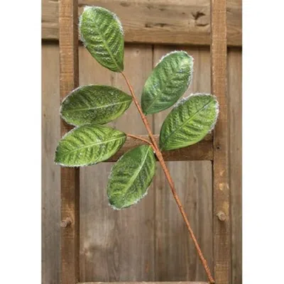 Homegifo *flocked Magnolia Leaves Spray 20"