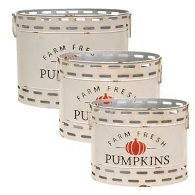 Homegifo 3/set Farm Fresh Pumpkins Oval Buckets